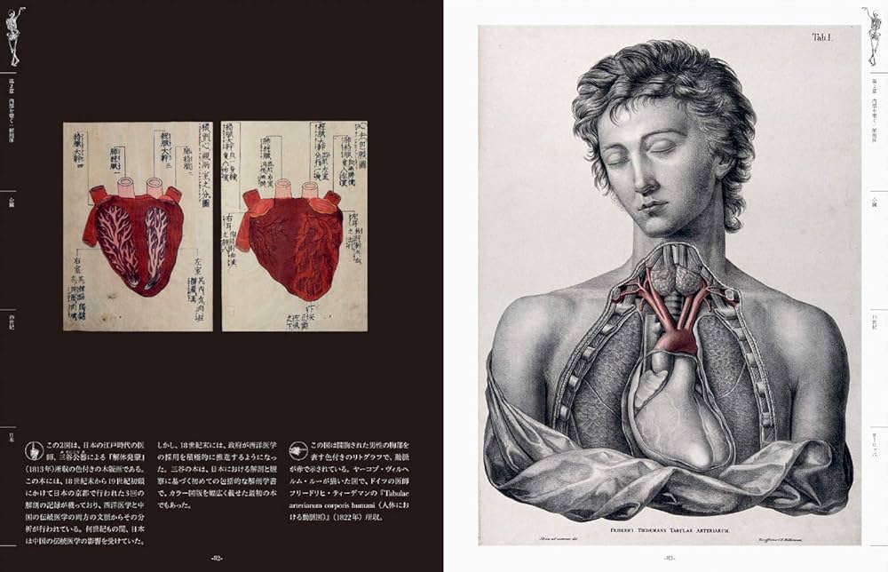 1970年人体解剖図集『Atlas of Human Anatomy』 時代物 1970年人体解剖図集『Atlas of Human Anatomy』 時代物